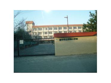 野畑小学校：584m