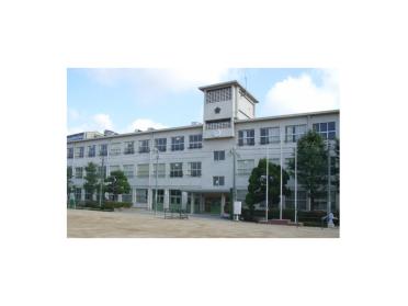 野田小学校：557m