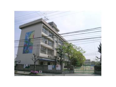 小曽根小学校：446m