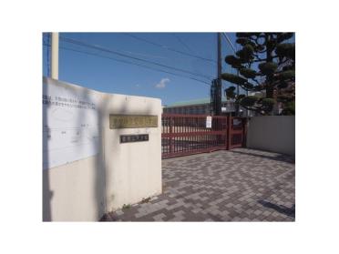 豊南小学校：795m