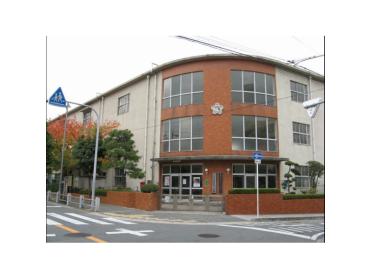 南桜塚小学校：215m
