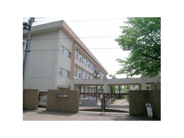 桜井谷小学校：498m