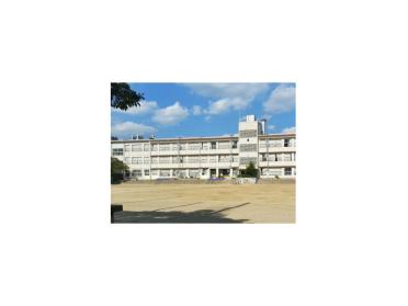 上野小学校：571m