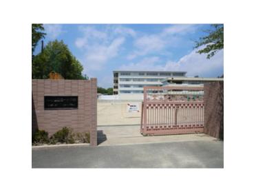 山田第一小学校：559m