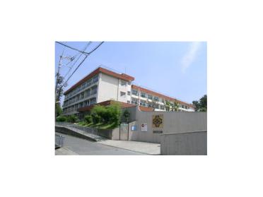 緑地小学校：675m