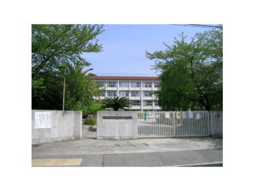 北条小学校：457m