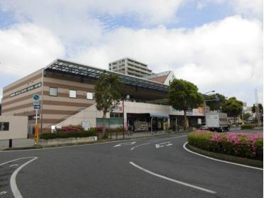 京成うすい駅：1000m