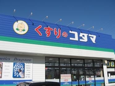 くすりのコダマ上越国府店：1200m