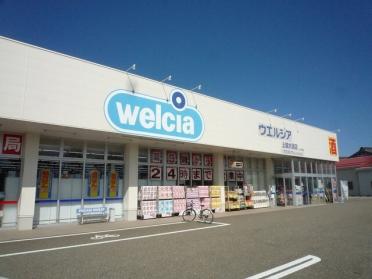 ウエルシア　大潟店：1600m