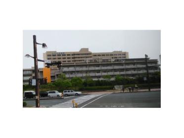 山口大学医学部附属病院：2053m