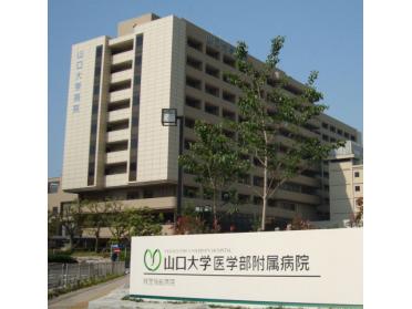 山口大学医学部附属病院：976m