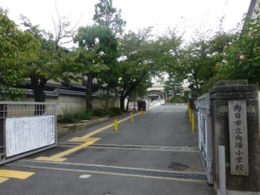 向日市立向陽小学校：798m