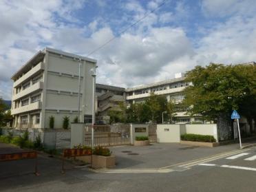 長岡京市立長岡第六小学校：347m