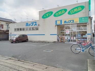 ドラッグストアホップス長岡店：198m