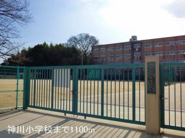 神川小学校：1200m