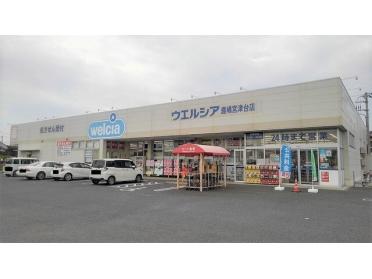 ウエルシア鹿嶋宮津台店：550m