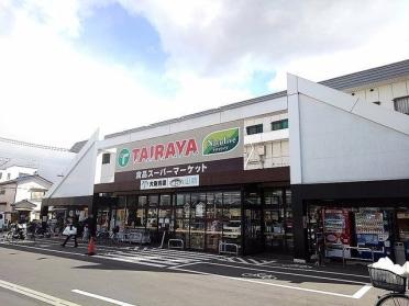 TAIRAYA草加店：743m