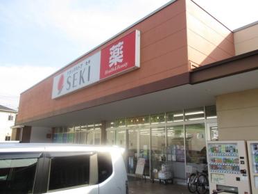 ドラッグストアセキ草加原町店：646m