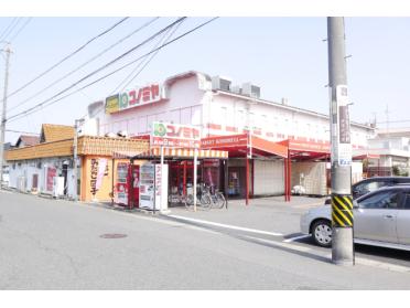 コノミヤ平田店：595m