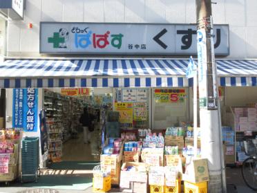 どらっぐぱぱす谷中店：268m