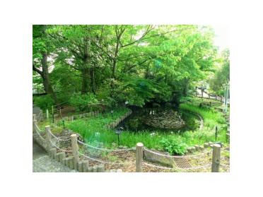 赤塚植物園：607m