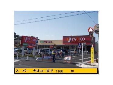 ヤオコー志木宗岡店：1146m