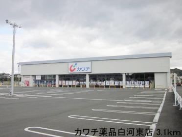 カワチ薬品白河東店：3100m