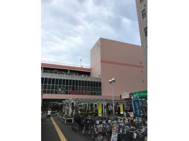 島忠江東猿江店：447m