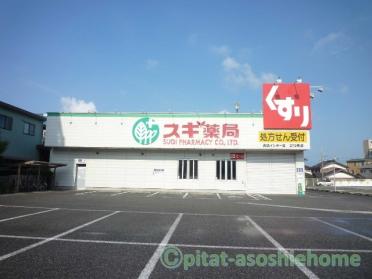 スギ薬局長浜インター店：273m