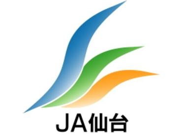 JA仙台泉支店：427m