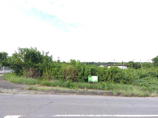 土地1