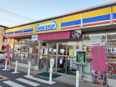 ミニストップ高野台店：700m