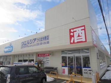 ウエルシア　つくば大穂店：400m