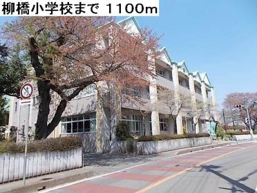 柳橋小学校：1100m