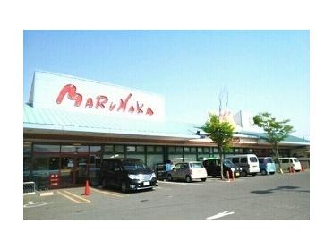 マルナカ檀紙店さん：560m