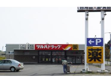 ツルハドラッグ室蘭築地店：1093m