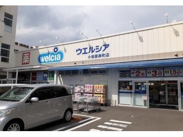 ウエルシア寿町店：450m