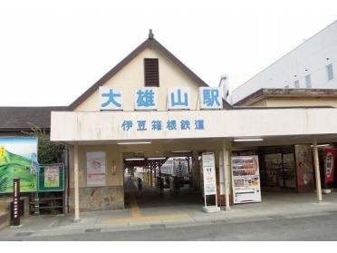 大雄山線・大雄山駅：1720m