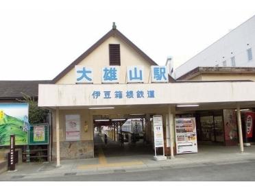 大雄山線・大雄山駅：1780m