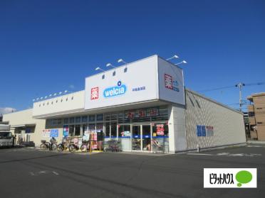 ウエルシア平塚真田店：635m