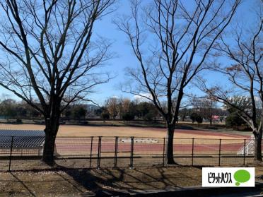 秦野中央こども公園：377m