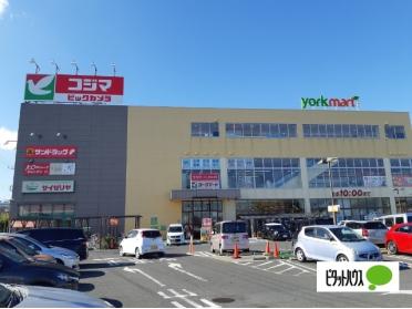 ヨークマート北金目店：435m