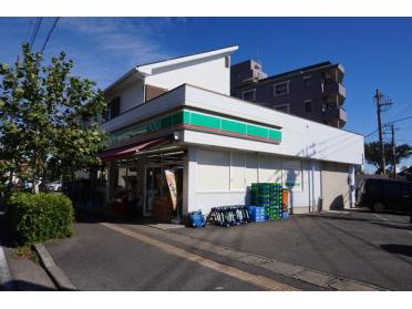 ローソンストア100伊勢原店：287m