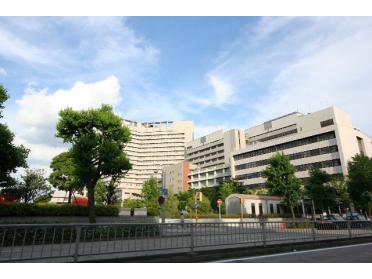 名古屋市立大学病院：508m