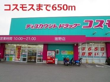 コスモス：650m