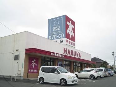 明屋書店：150m