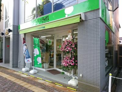 ピタットハウス三条店