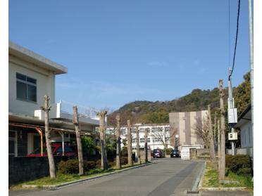 フジ川之江店：732m