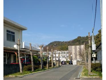 セブンイレブン四国中央川之江町港通店：542m