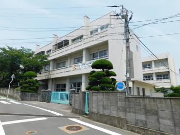 四国中央市立松柏小学校：943m